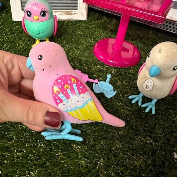 Three live pet birds 🐦 - Picture 8 of 12